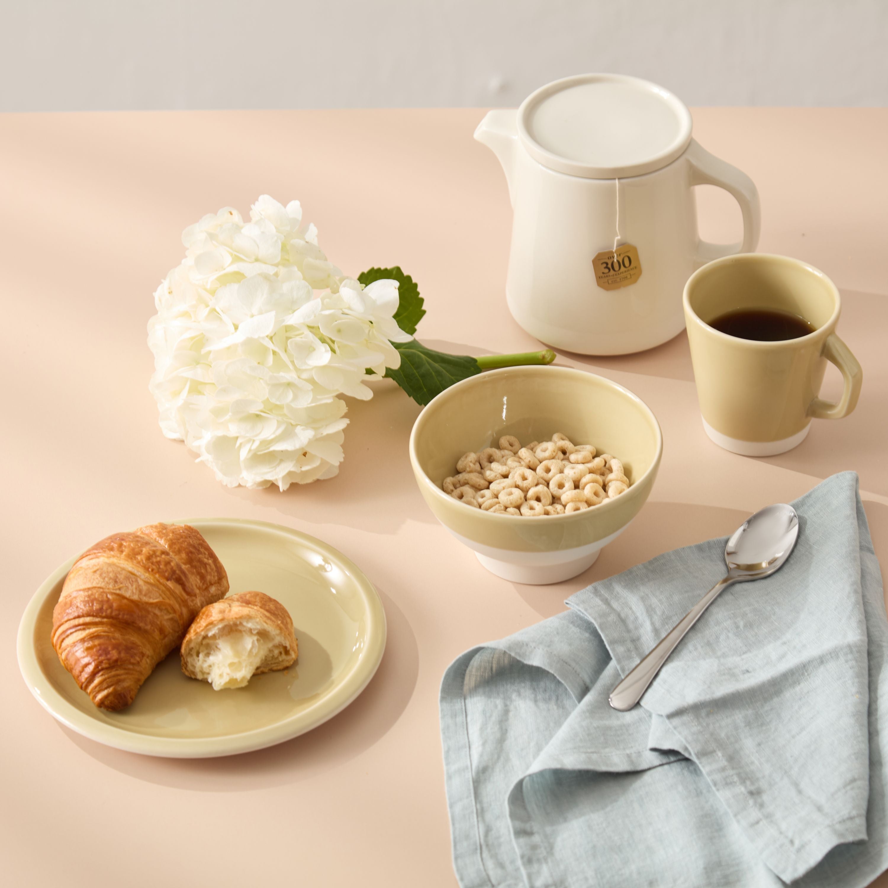 Cantine Plates - Vert