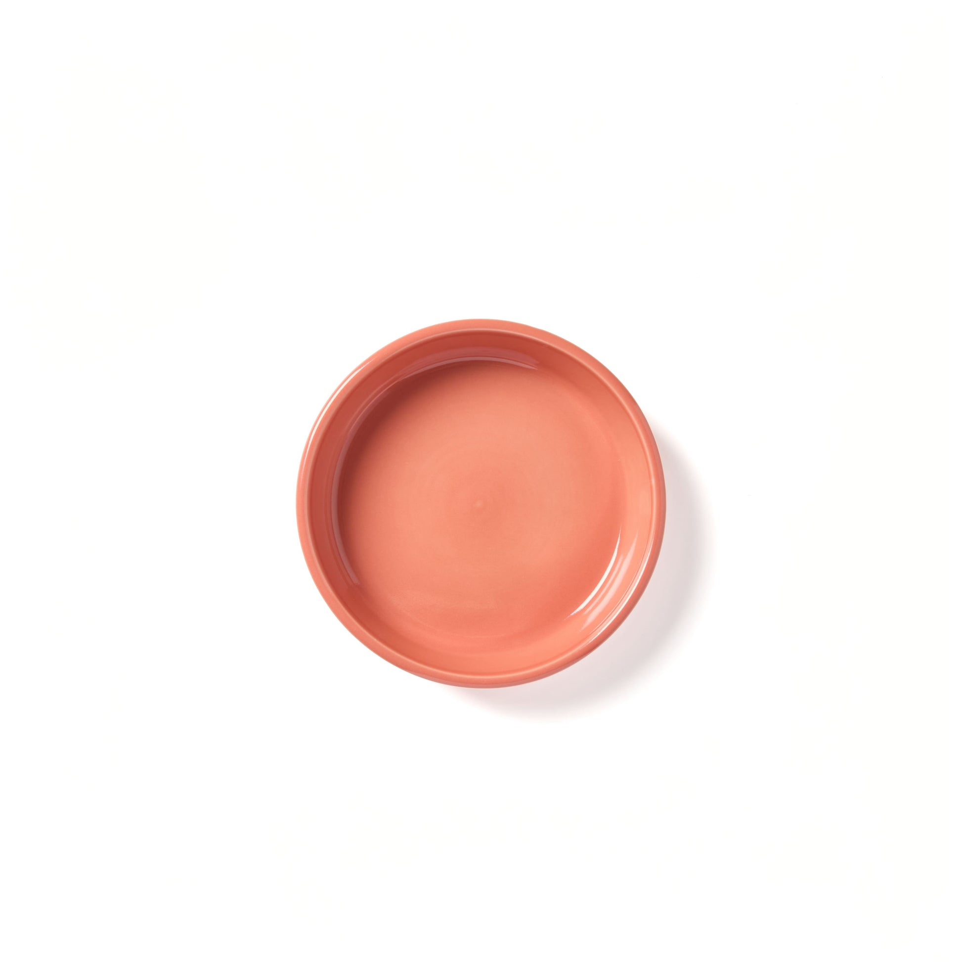 Terra Cutte