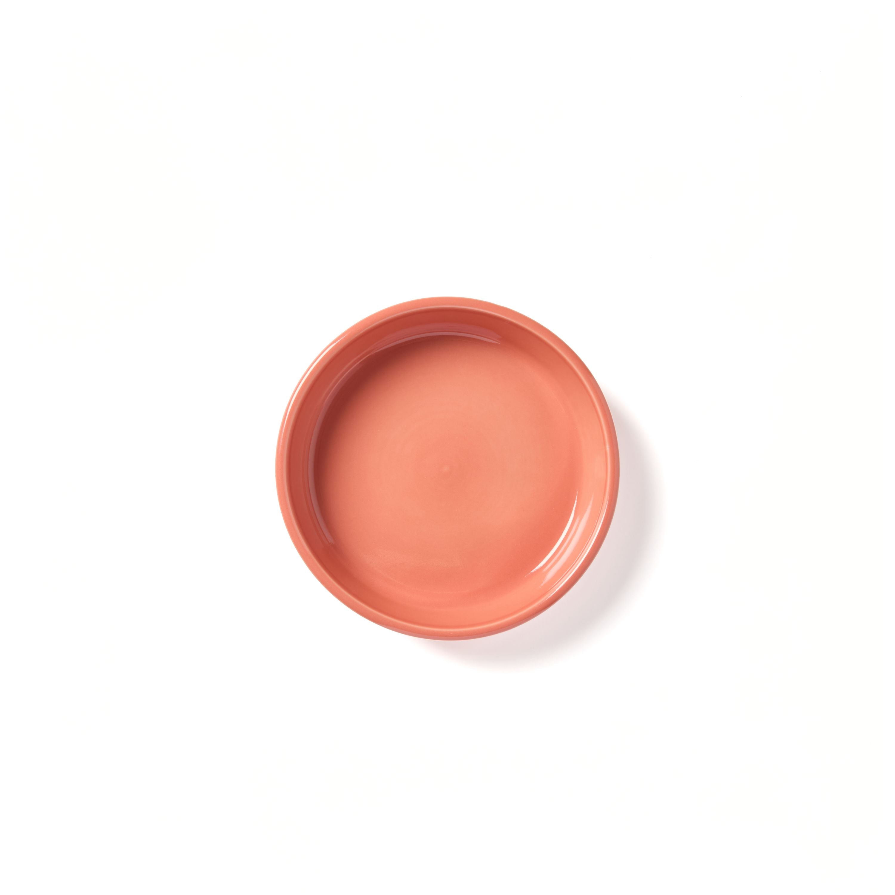 Terra Cutte
