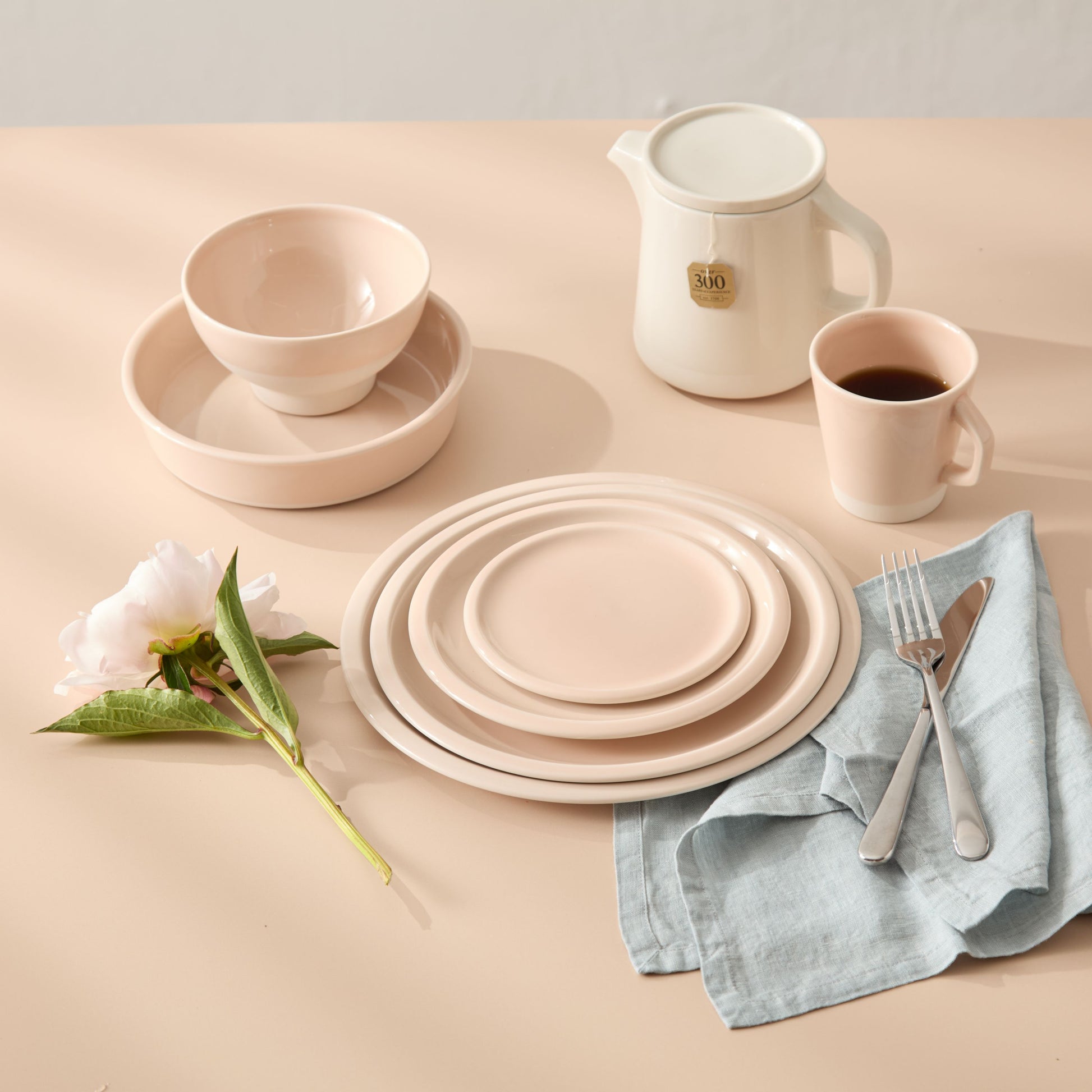 Cantine Plates - Rose Buvard