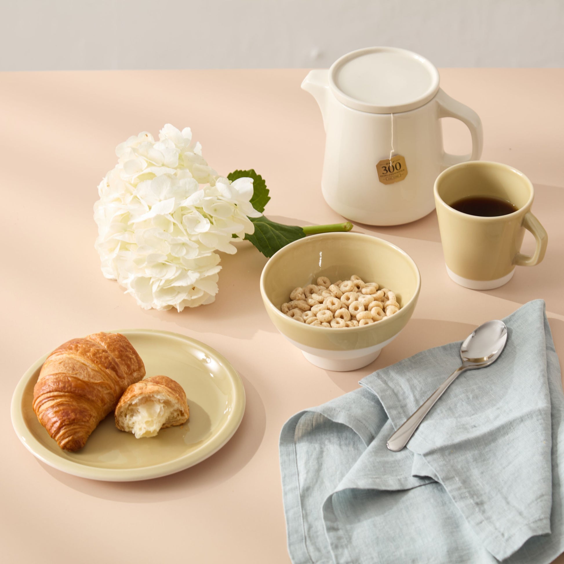 Cantine Plates - Vert