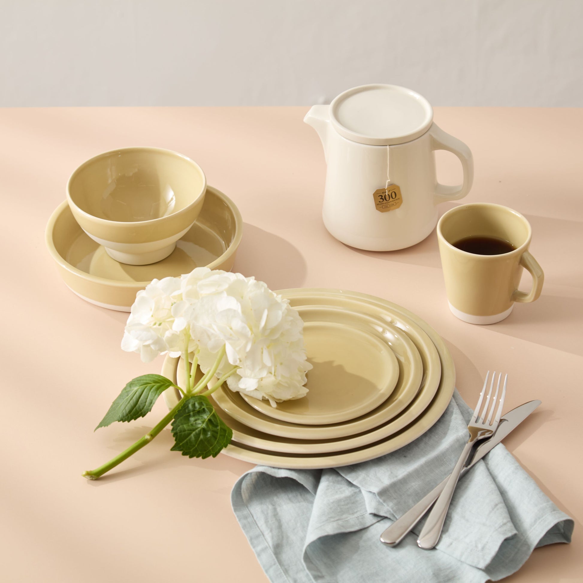Cantine Plates - Vert