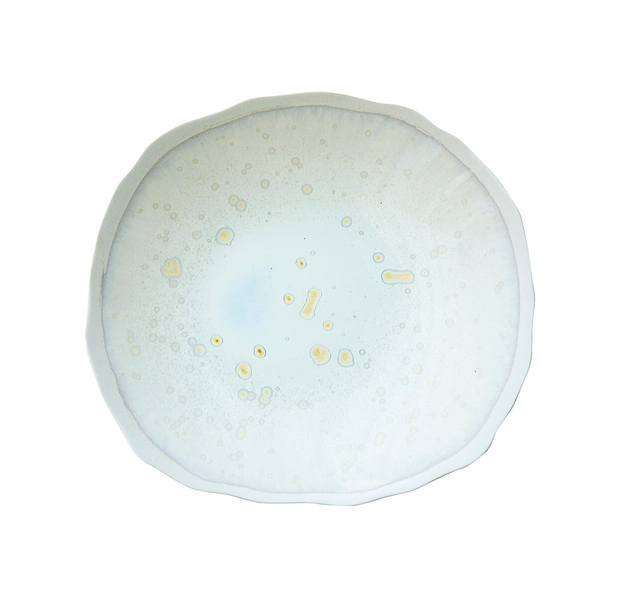 Plume Plate , Nacre , L