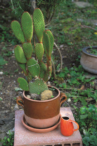 Jars Céramistes Tourron Pitcher Tourron Pitcher