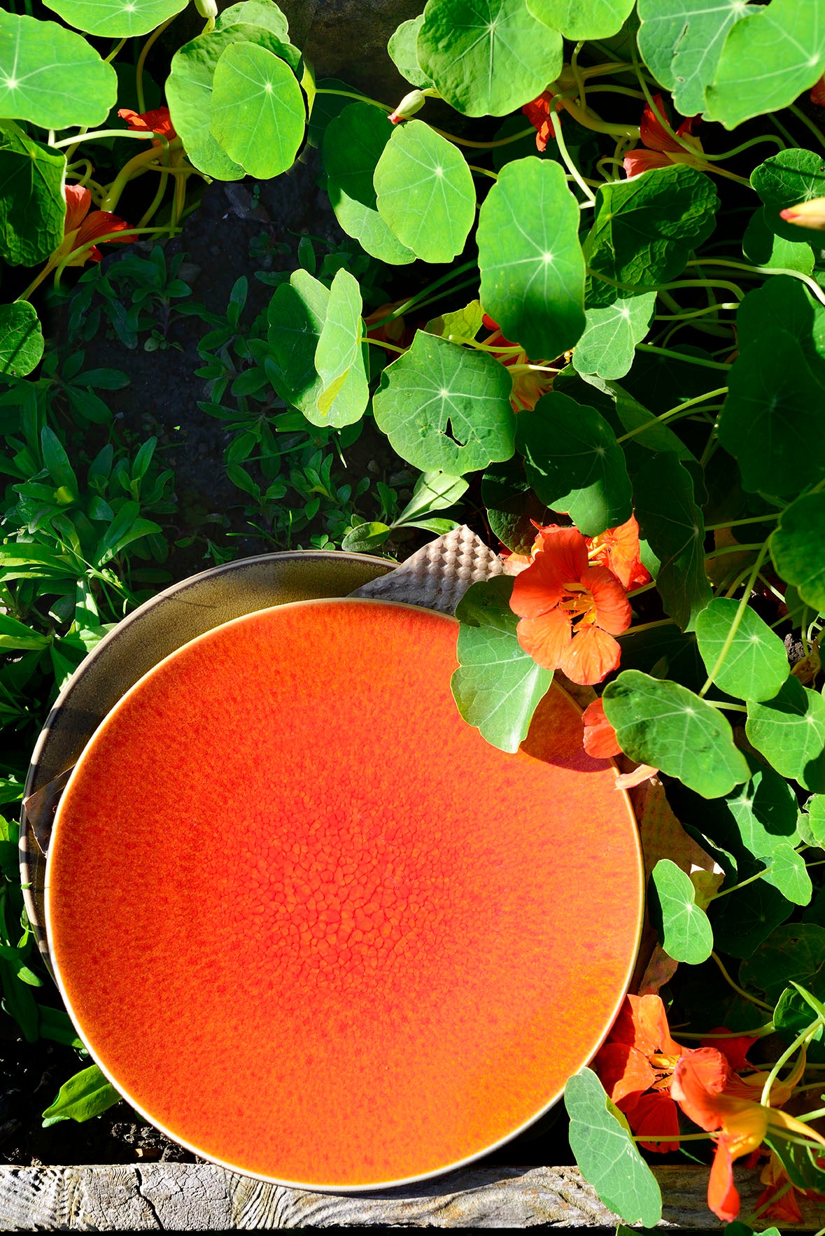 Tourron Natural Saucer - Orange